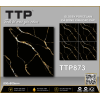 TTP873
