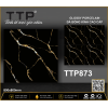 TTP873