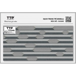 TTP2456