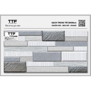 TTP2485