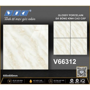 V66312
