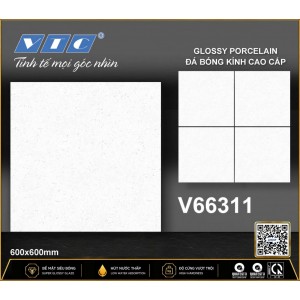 V66311