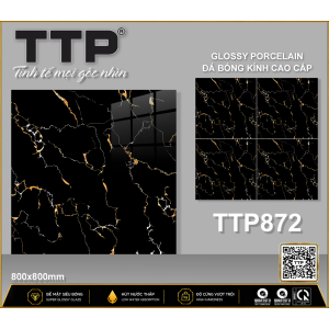 TTP872