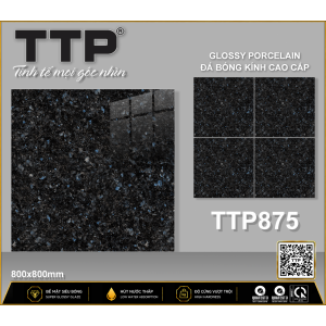 TTP875