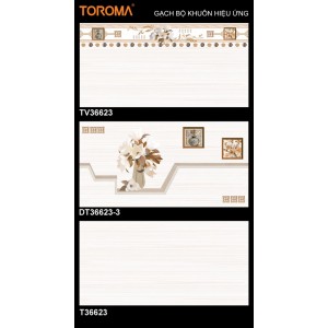 TV36623