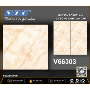 V66303