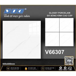 V66307