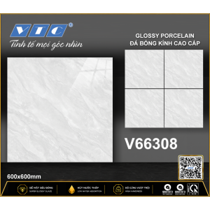 V66308