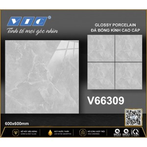 V66309