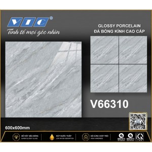 V66310