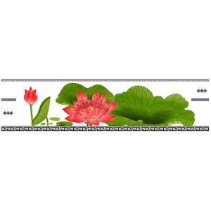 VM603
