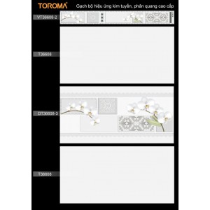 T 36608