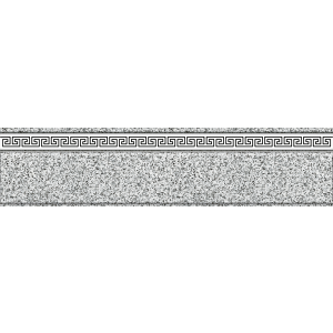 TL55101