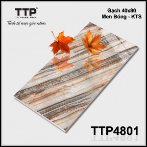 TTP4801