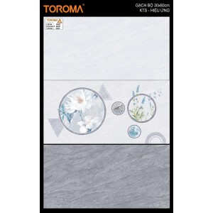 T36164