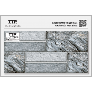 TTP2413