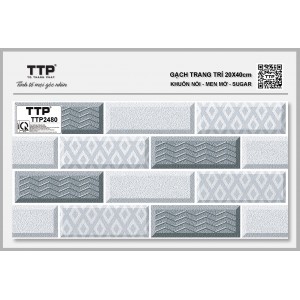 TTP2480