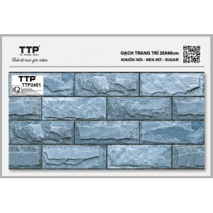 TTP2481