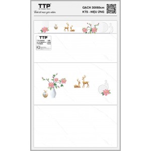 TTPV38605C