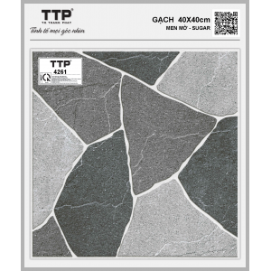 TTP4261