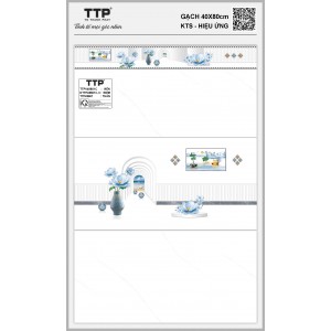 TTPV48601C