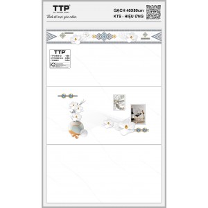 TTPV48601D