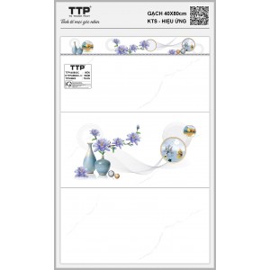 TTPV48603C