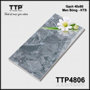 TTP4806