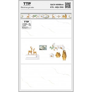 TTPV48602C