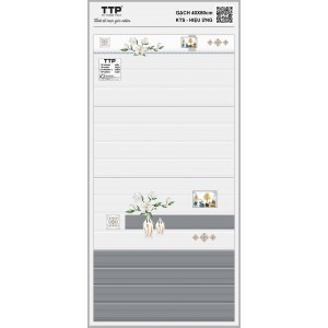 TTP48604