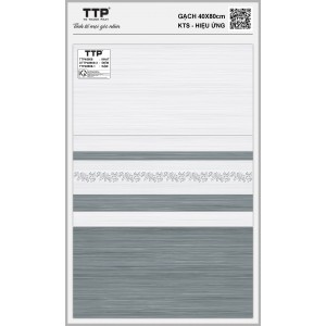 TTP48608