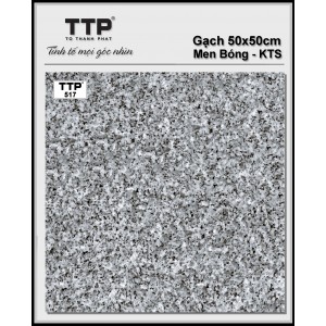 TTP517
