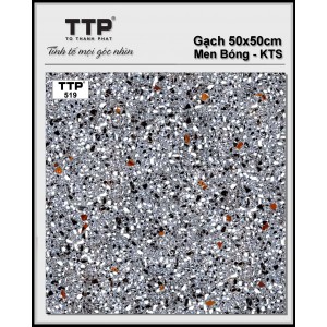 TTP519