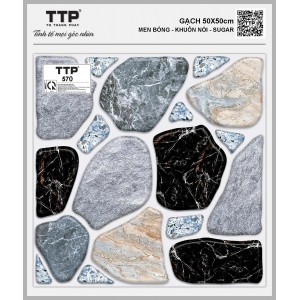 TTP570