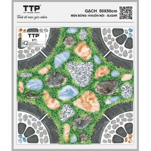 TTP571