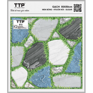 TTP572