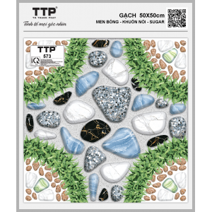TTP573