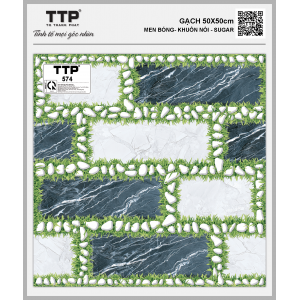 TTP574