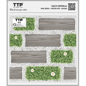 TTP575