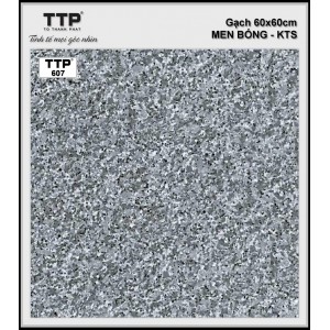 TTP607