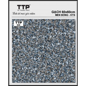 TTP608