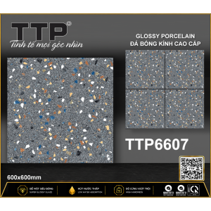 TTP6607