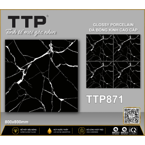TTP871