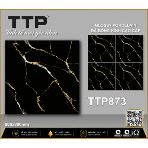 TTP873