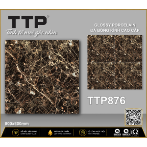 TTP876