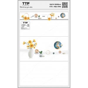 TTPV001D