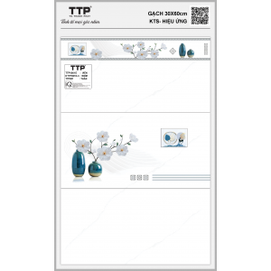 TTPV001E