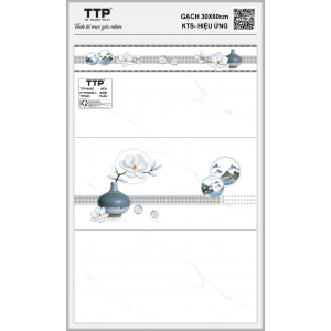 TTPV003E