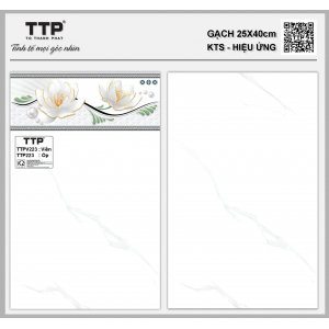 TTPV223