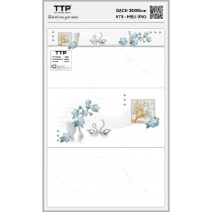 TTPV003D